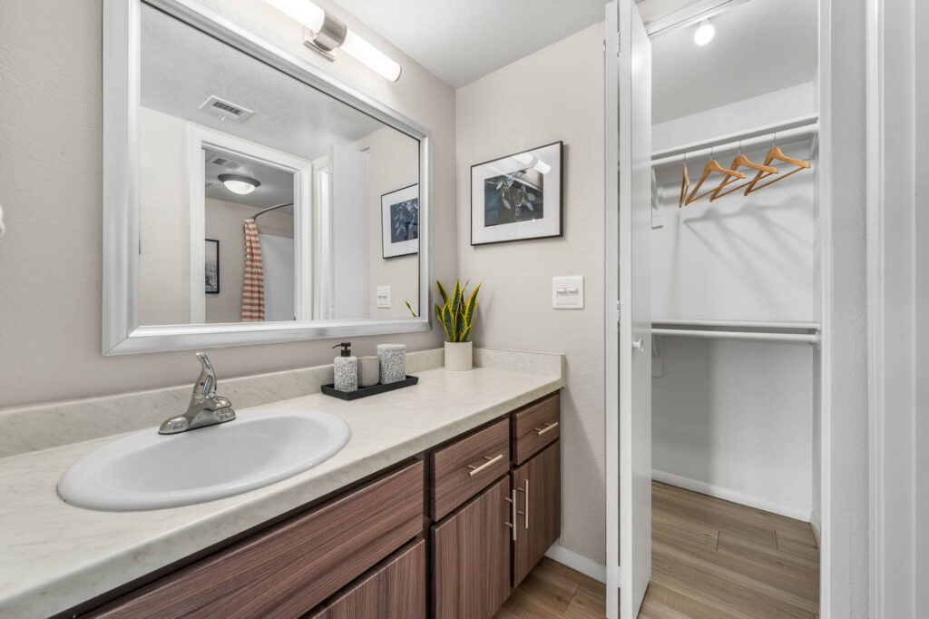Bathroom with wood-style flooring, single sink, mirror, and large closet