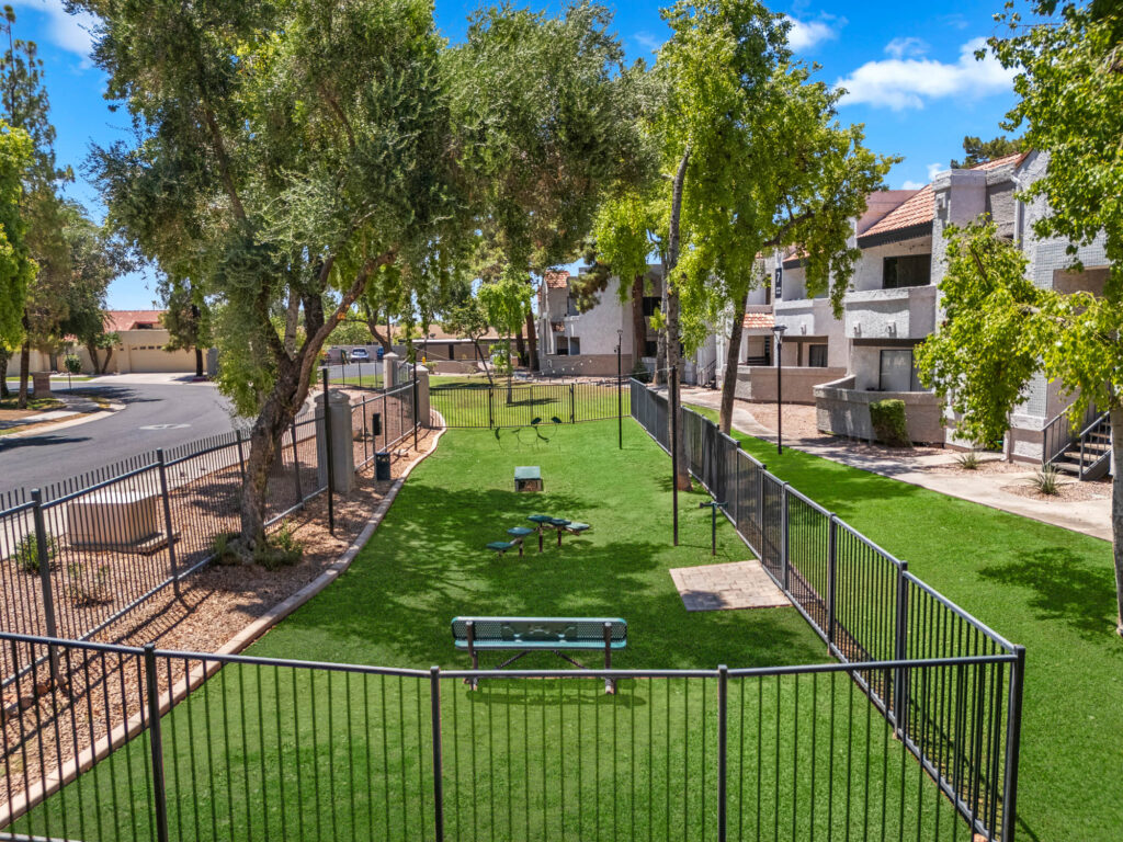 Fenced in dog park with various agility equipment